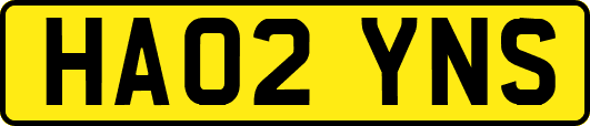 HA02YNS