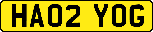 HA02YOG