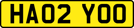 HA02YOO
