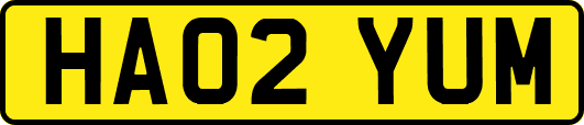 HA02YUM