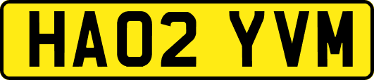 HA02YVM