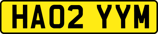 HA02YYM