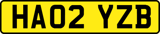 HA02YZB