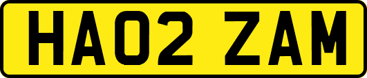 HA02ZAM