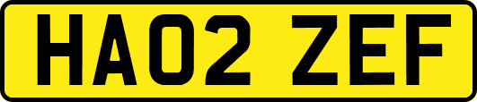 HA02ZEF