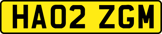 HA02ZGM