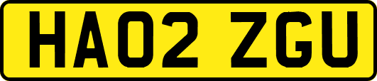 HA02ZGU