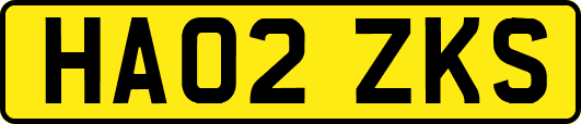 HA02ZKS