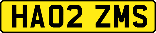 HA02ZMS