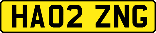 HA02ZNG