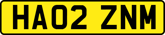 HA02ZNM