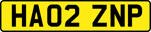 HA02ZNP