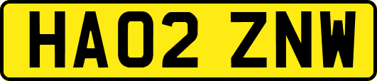 HA02ZNW