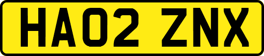 HA02ZNX
