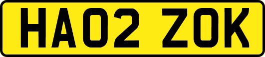 HA02ZOK