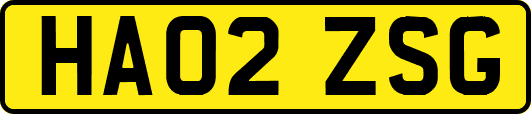 HA02ZSG