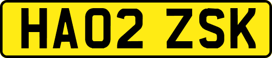 HA02ZSK