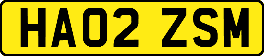 HA02ZSM