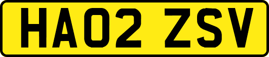 HA02ZSV