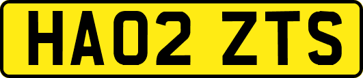 HA02ZTS