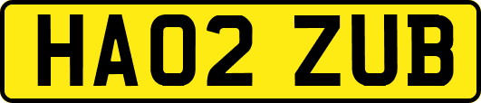 HA02ZUB