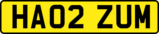 HA02ZUM