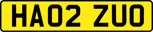 HA02ZUO