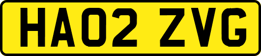 HA02ZVG