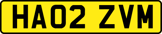 HA02ZVM