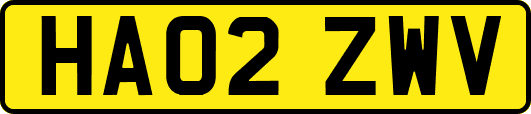 HA02ZWV