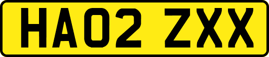 HA02ZXX