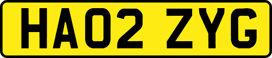 HA02ZYG