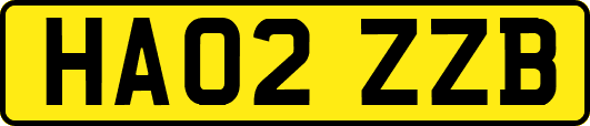 HA02ZZB