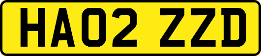 HA02ZZD