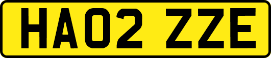 HA02ZZE