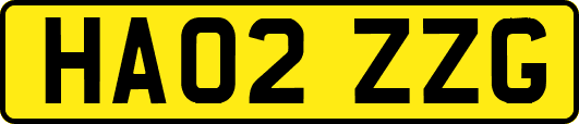 HA02ZZG