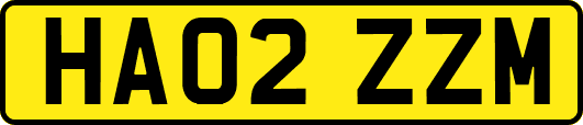 HA02ZZM