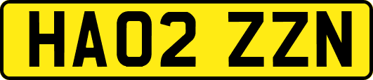 HA02ZZN