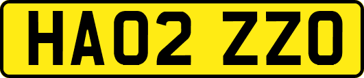 HA02ZZO