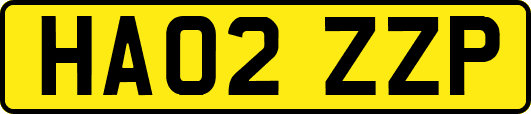 HA02ZZP