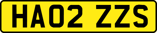 HA02ZZS