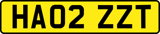 HA02ZZT