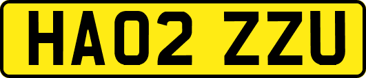 HA02ZZU