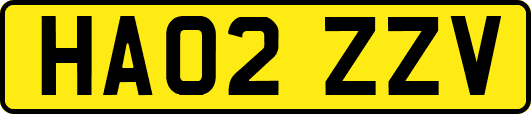 HA02ZZV