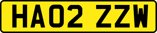 HA02ZZW