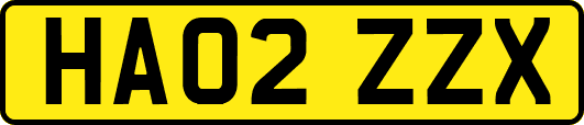 HA02ZZX
