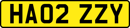 HA02ZZY