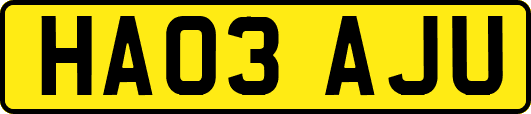 HA03AJU
