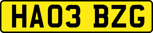 HA03BZG