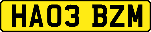 HA03BZM